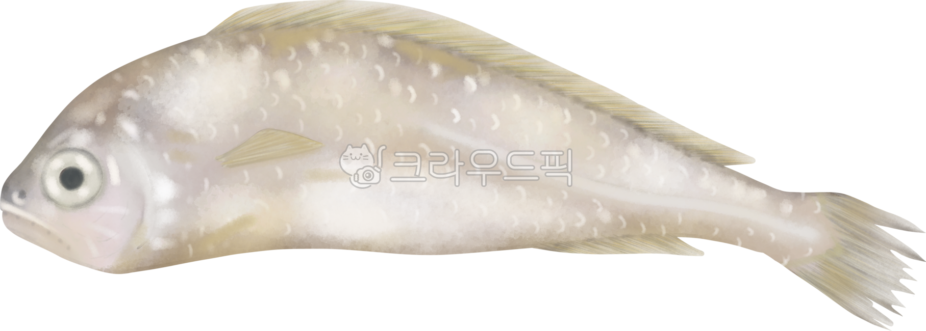 굴비,조기,생선,수산물,보리굴비,영광굴비