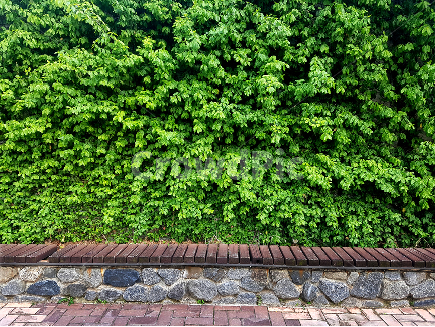배경,자연풍경,의자,숲,여름,휴식,초록색,돌,돌의자,공원,벤취,식물,자연,plants,nature