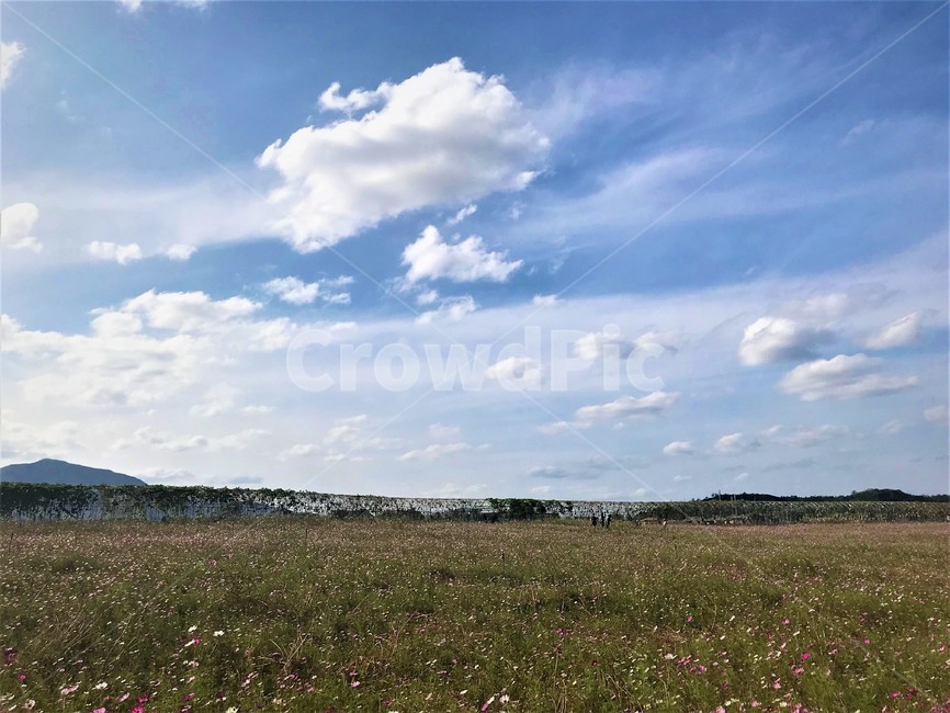 들,들판,목초지,자연,풍경,자연,풍경,nature,landscape,grassland,field,outdoors,옥외