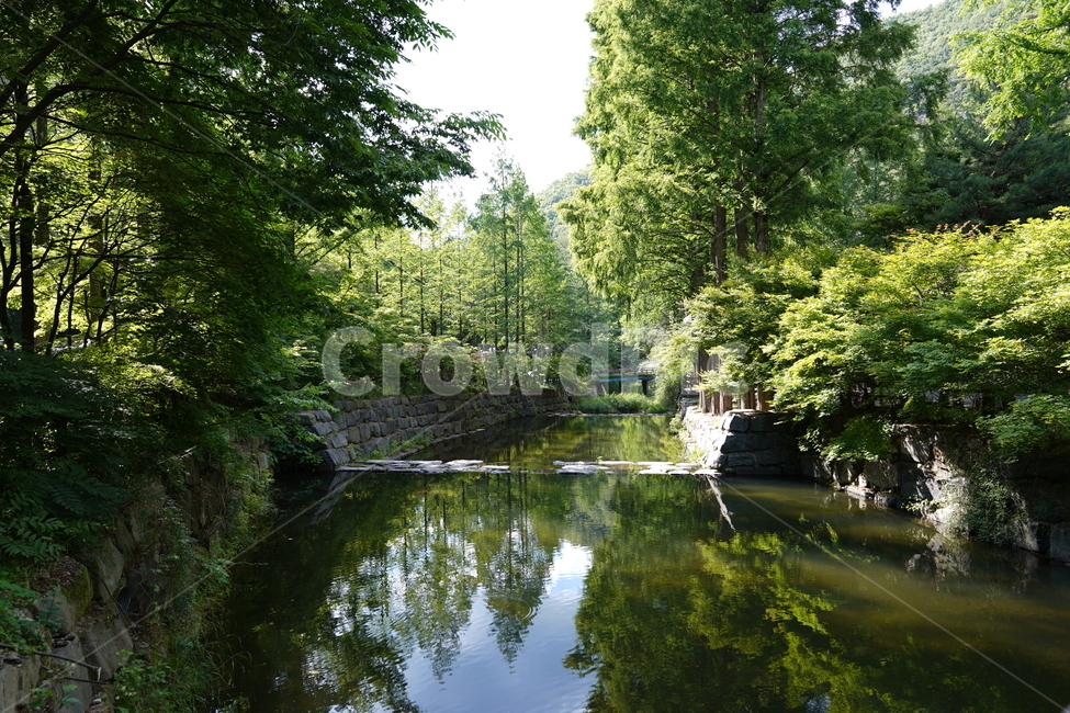 물,nature,자연,outdoors,옥외,water,자연,풍경,nature,landscape,식물,plants,나무,trees,wood