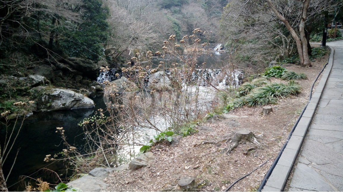 시냇물,산,물,갈대,바위,자연,풍경,nature,landscape,한국자연풍경,한국자연경관,korea nature landscape,ground,바닥