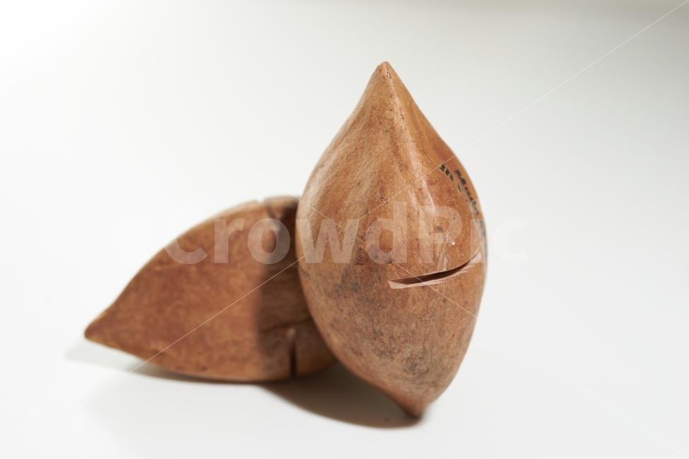 피넛,필리핀,땅콩,원숭이,건과류,딱딱한,건강식,맛있는,음식,식재료,요리,food,cook,meal,dishes,food reserves,콩류,견과류,beans,pulse,nuts,dry fruits,누끼,remove background
