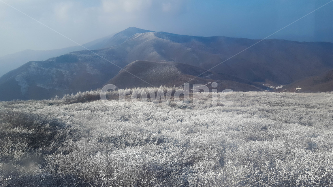 하늘,산,겨울,눈꽃,나무,겨울,계절,winter,season,자연,풍경,nature,landscape,outdoors,옥외