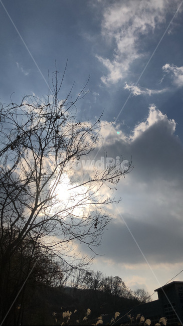 풍경,하늘,구름,자연,적운,sky,cloud