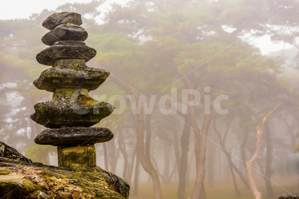 석탑,불교,풍경,고려시대석탑,마니사지석탑,감성,송호리석탑,자연,풍경,nature,landscape,조각상,동상,석상,조형물,statue,bronze statue,stone statue,한국전통,한국문화,korean traditional,korean culture,종교,신앙,religion,belief,faith,outdoors,옥외,weather,날씨