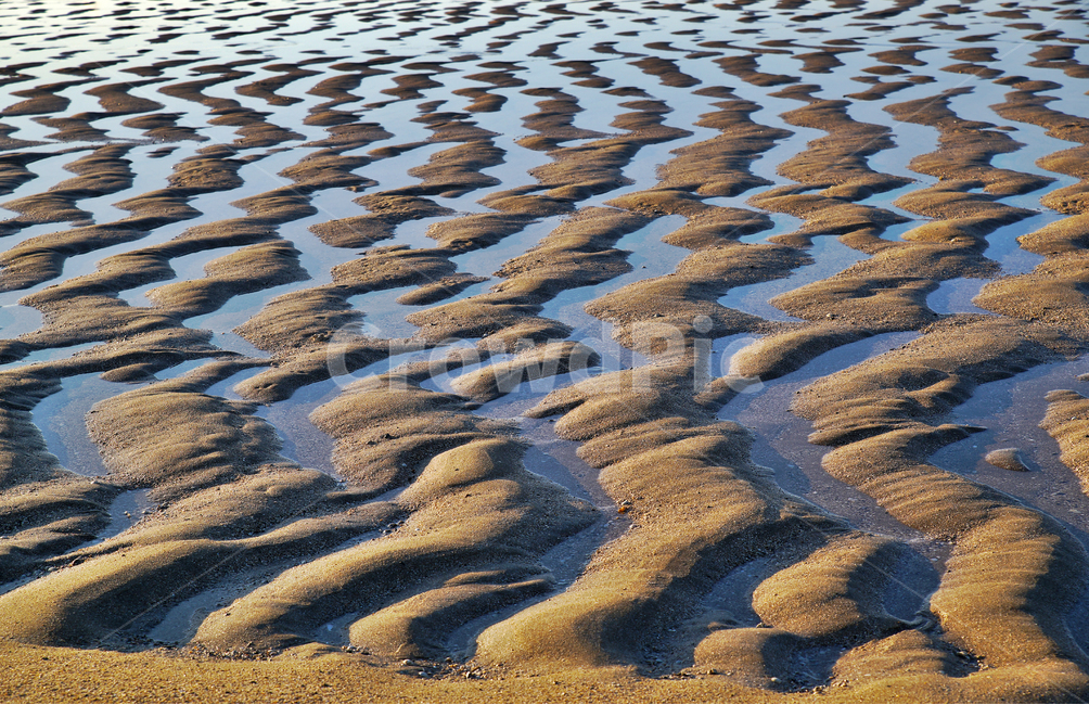 선재도,모래톱,서해,인천,옹진군,섬,갯벌,썰물,바다,패턴,해변,바다,beach,sea