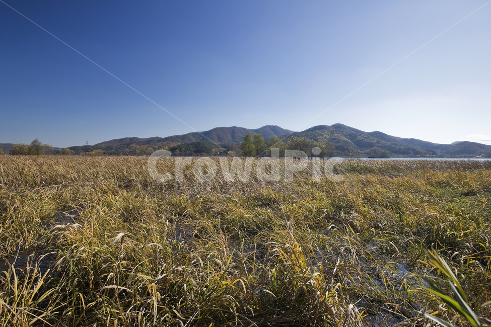 풍경,푸른,휴식,맑음,시원한,공원,산책,grassland,목초지,field,들,자연,nature,옥외,outdoors,farm,농장,rural,농촌,countryside