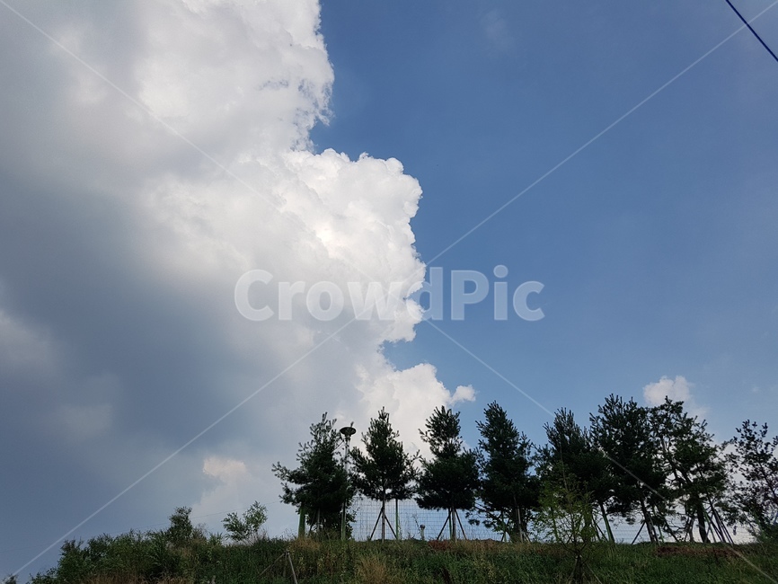 weather,날씨,nature,자연,tree,outdoors,식물,plant,나무,적운,sky,하늘,cloud,구름,자연,풍경,nature,landscape,나무,trees,wood,옥외,cumulus