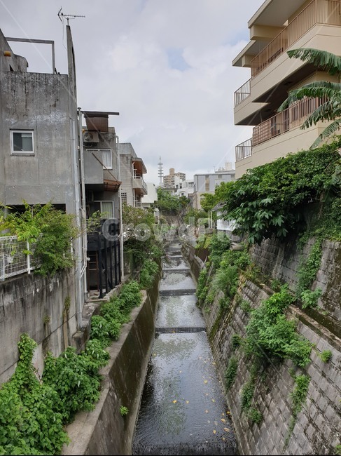 ditch,도랑,골목,일본,하늘
