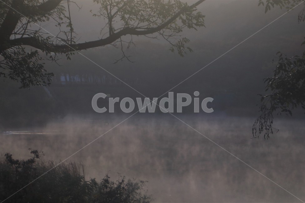 nature,자연,weather,날씨,물안개,풍경,경관,운치,자연,풍경,nature,landscape