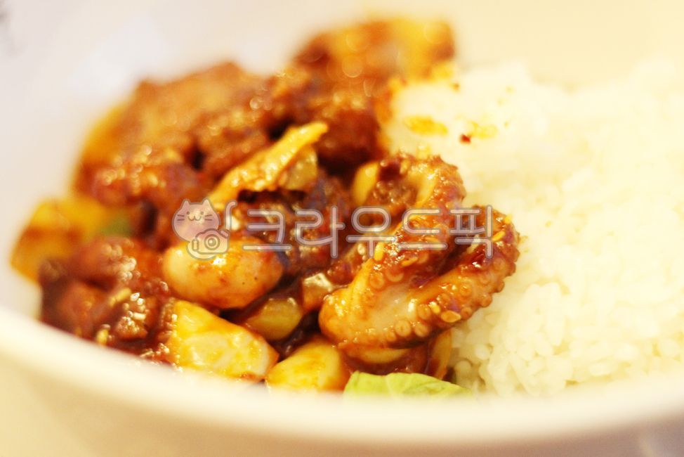 Stirfried octopus,Octopus pork belly,Webfoot octopus,Stirfried seafood meat,stirfried dishes,Spicy Octopus,Stirfried Octopus,Stirfried meat,Octopus