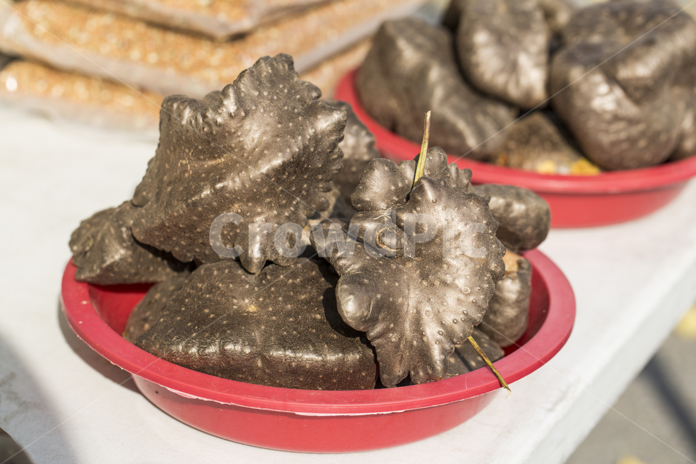 마,열매마,열매,식물,농산물,식재료,음식,식재료,요리,food,cook,meal,dishes,food reserves
