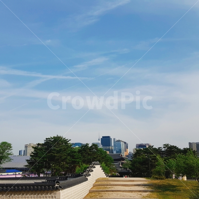 서울,경복궁,하늘,풍경,남산타워,도시,풍경,city,landscape,한국도시풍경,한국도시경관,korea cityscape