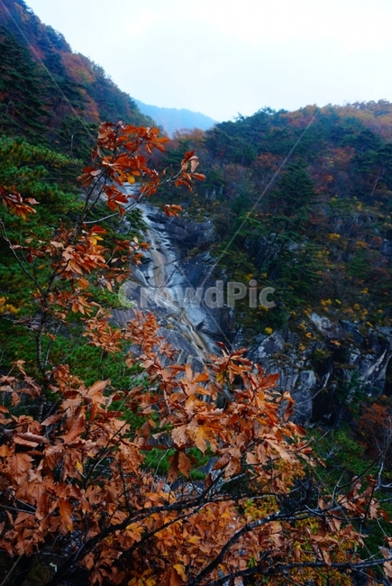 산,풍경,폭포,가을,단풍,등산,낙엽,가을,계절,fall,autumn,season,자연,풍경,nature,landscape,한국자연풍경,한국자연경관,korea nature landscape,leaf,잎,plant,식물,water,물,river,강,outdoors,옥외,tree,나무