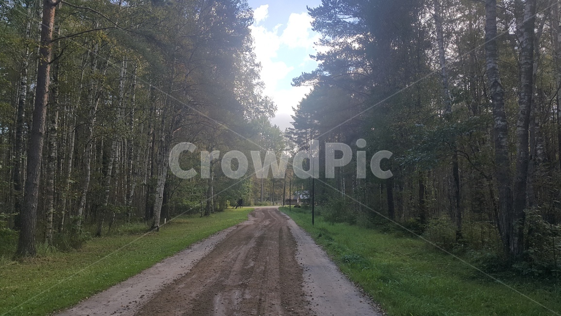 estonianopenairmuseum,estonia,에스토니아,탈린,tallin