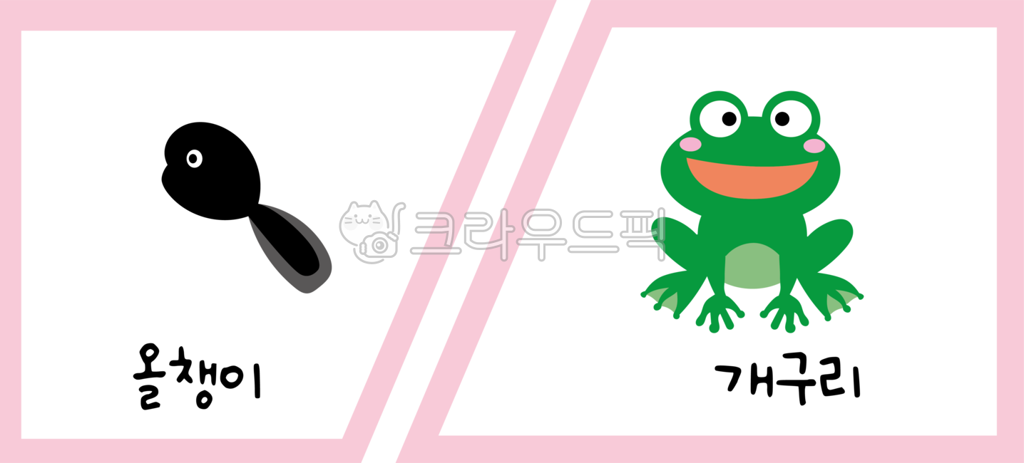 퍼즐놀이,동물퍼즐,동물,어린이집,유치원,엄마동물,아기동물,엄마동물아기동물,올챙이,개구리
