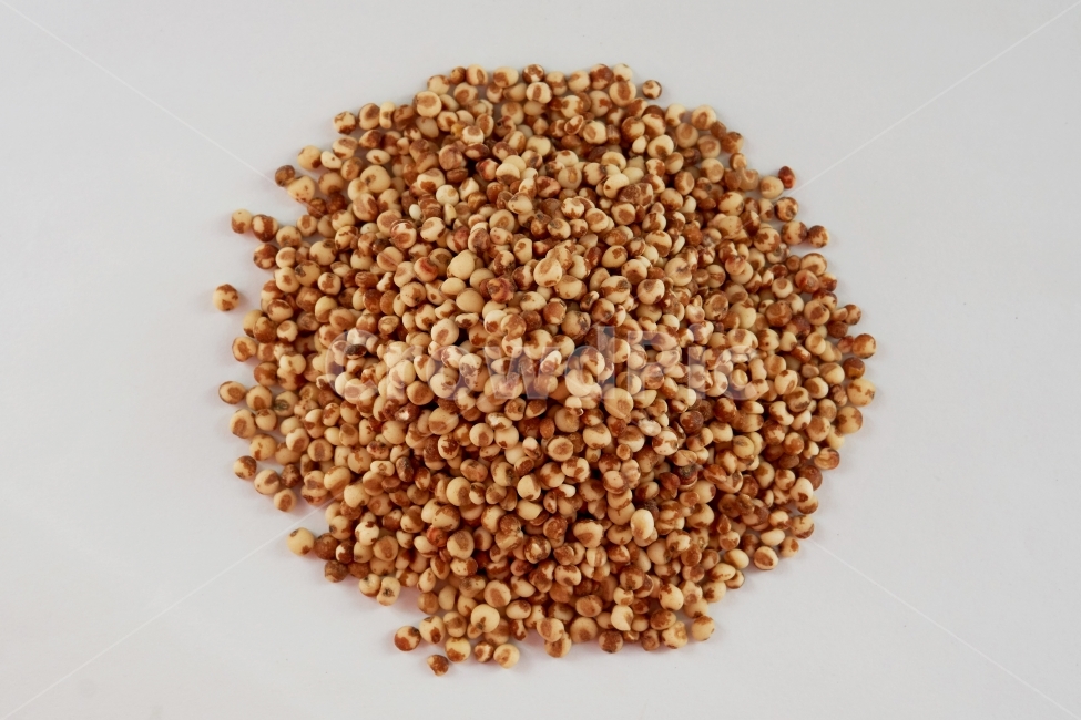 수수,곡물,잡곡,곡식,밥,음식,식재료,식품,crop,sorghum,흰배경,쌓여있는,음식,식재료,요리,food,cook,meal,dishes,food reserves,곡류,곡식,cereals,누끼,remove background