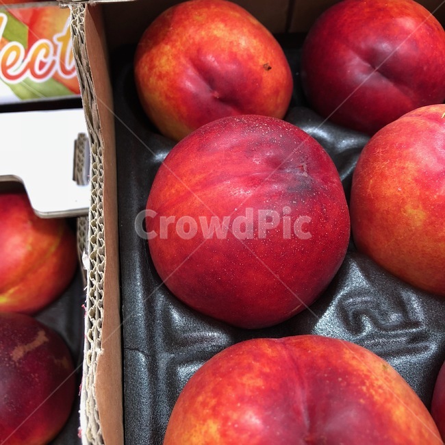 자두,빨강,싱그러운,과일,plum,fruit,새빨간,음식,식재료,요리,food,cook,meal,dishes,food reserves,과일,열매,fruit