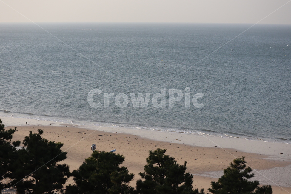 대천해수욕장,바다,겨울바다,해변,모래,해변,바다,beach,sea