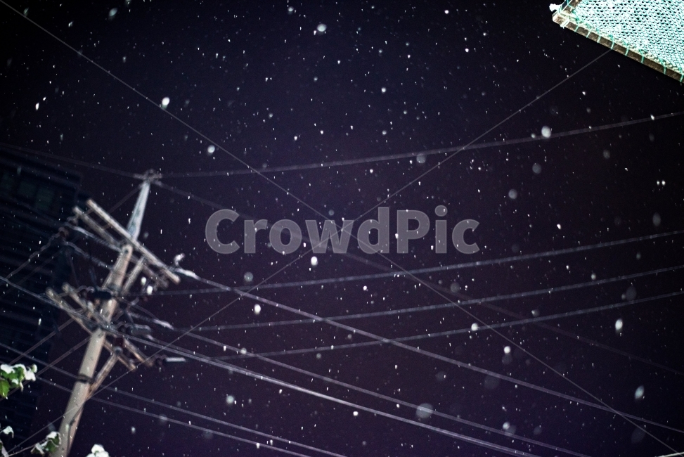 눈,첫눈,snow,밤눈,밤하늘,하늘,firstsnow,whitesnow,흰눈,하얀눈,겨울,계절,winter,season,자연,풍경,nature,landscape,야경,밤,nightscape,night,outdoors,옥외,universe,우주,astronomy,천문학,outer space,대기권 밖,space
