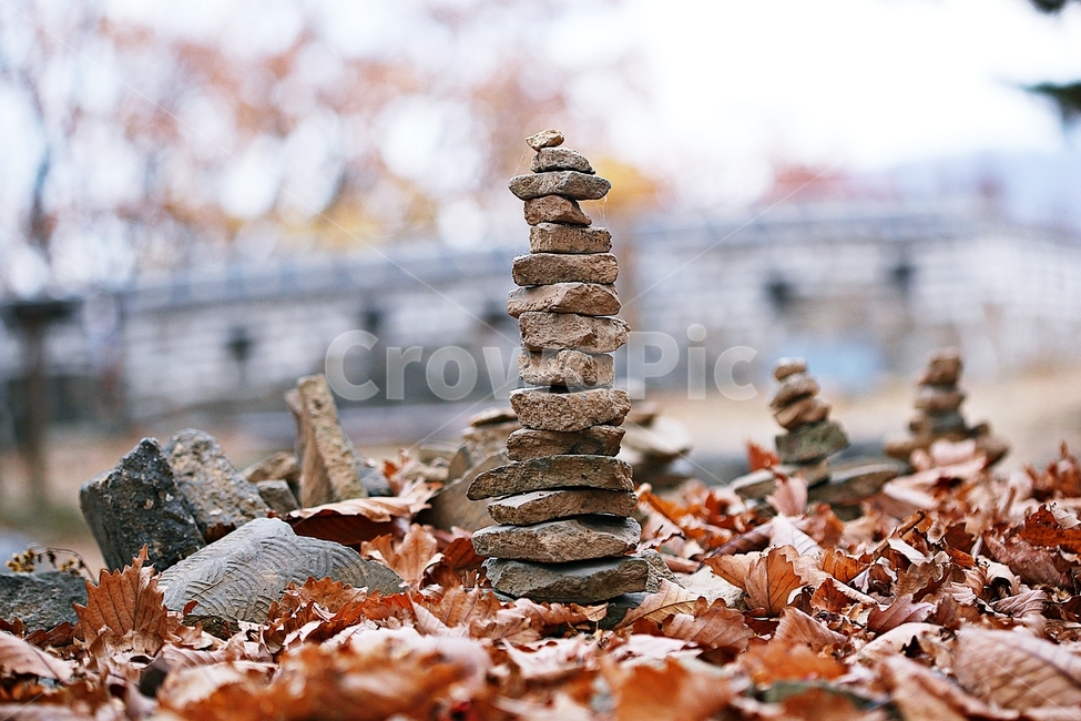 탑,돌탑,단풍,낙엽,식물,자연,풍경,가을,계절,가을,계절,fall,autumn,season