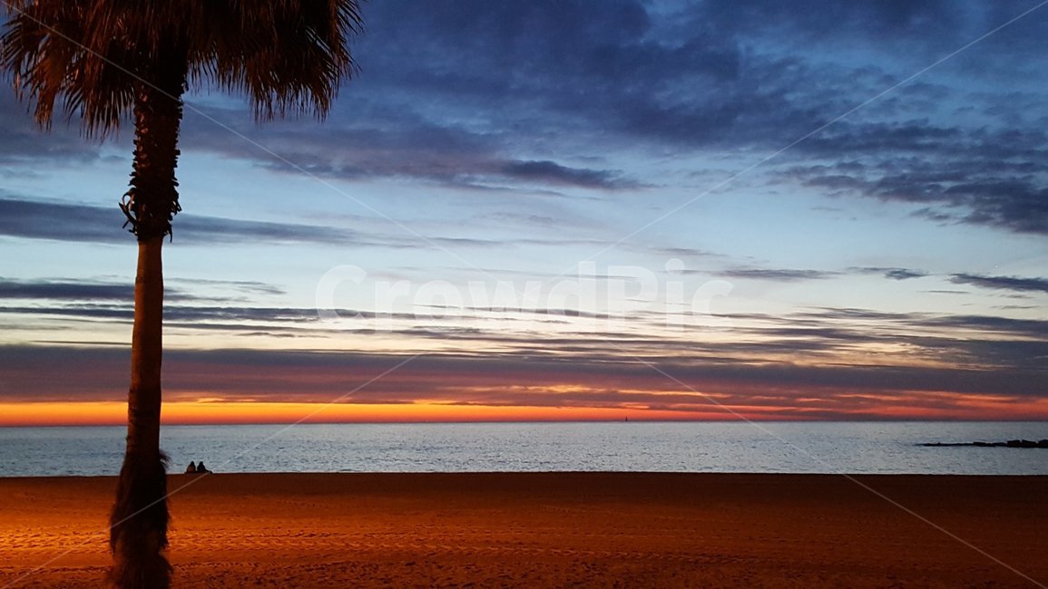해변,일출,태양,바다,열대나무,beach,sunrise,sun,ocean,sea,palmtrees