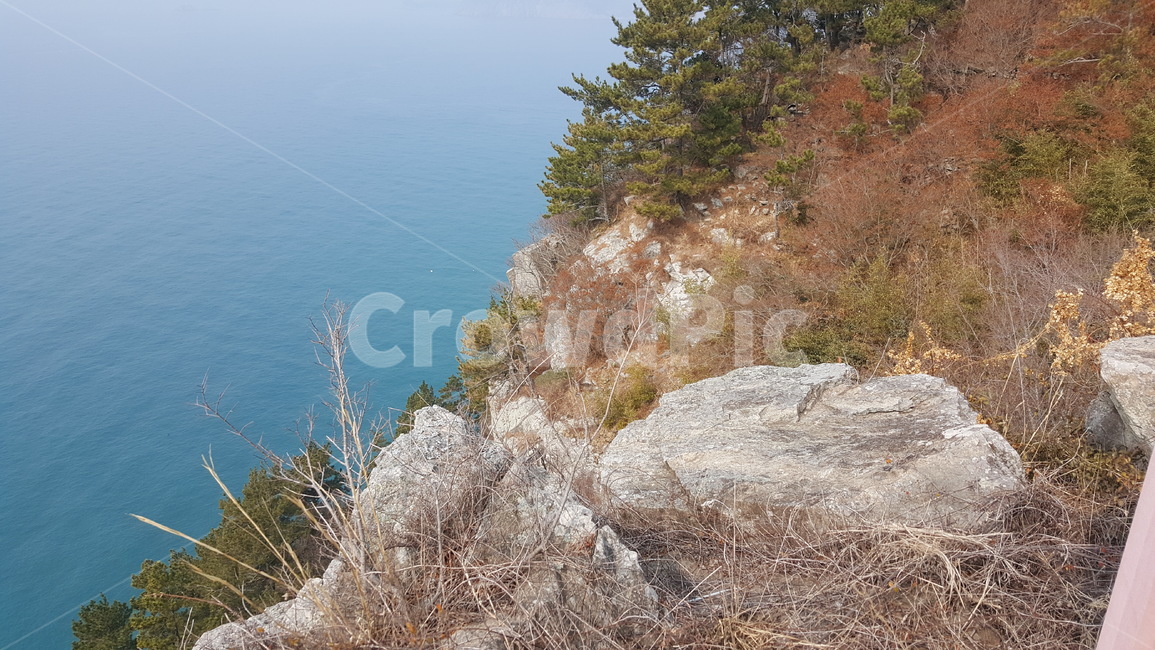 자연,금오도,비렁길,바다,산,자연,풍경,nature,landscape,tree,나무,plant,식물,outdoors,옥외,land,땅,promontory,곶,shoreline,해안선,water,물