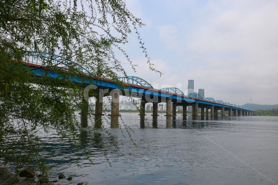 bridge,다리,한강,수양버들,building