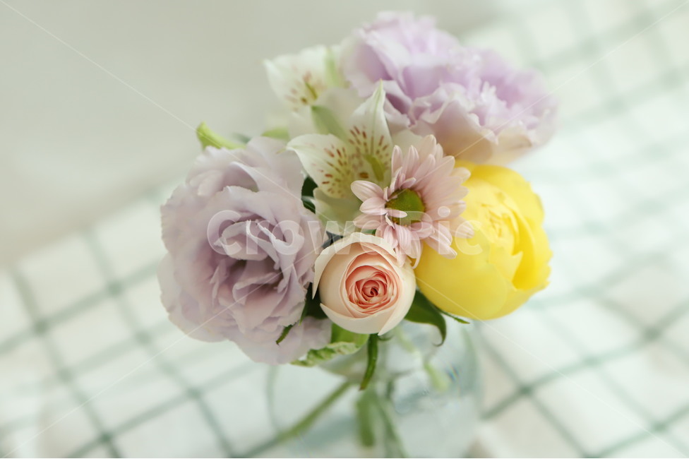 plant,flower,blossom,feeling,sensible,nature,식물,꽃,자연,색감,색깔,색채,시즌,감성사진,힐링,감성,배경,봄,근접,접사,리시안셔스,장미,카탈리나,알스트로메리아,체크,테이블보,유리병,꽃병,vase,실내용화초,화분,화초,house plant