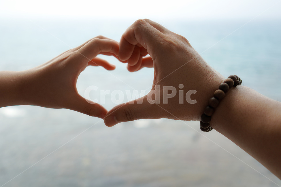 손하트,사랑,표현,사람,신체일부,제스처,손,하트,gesture,hand,sign,expression,concept,손짓,컨셉