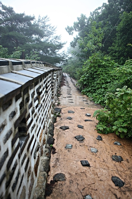 남한산성,성,성곽,둘레길,길,숲,숲길,안개,돌담,담