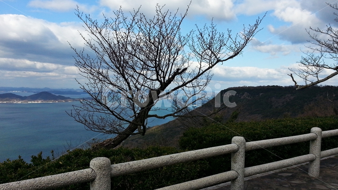 나무,자연,목책,산,바다,겨울,자연,풍경,nature,landscape,railing,난간,handrail,banister