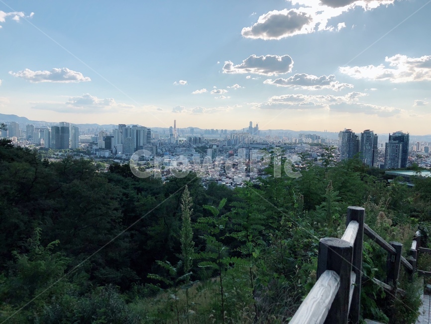남산,산책,서울전경,정상,등산