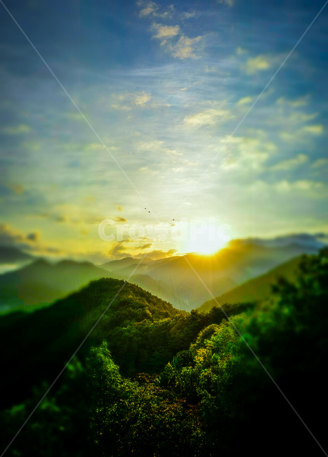 light,빛,flare,플레어,nature,자연,햇빛,sunlight,옥외,outdoors,일출,온달산성,충청북도단양군