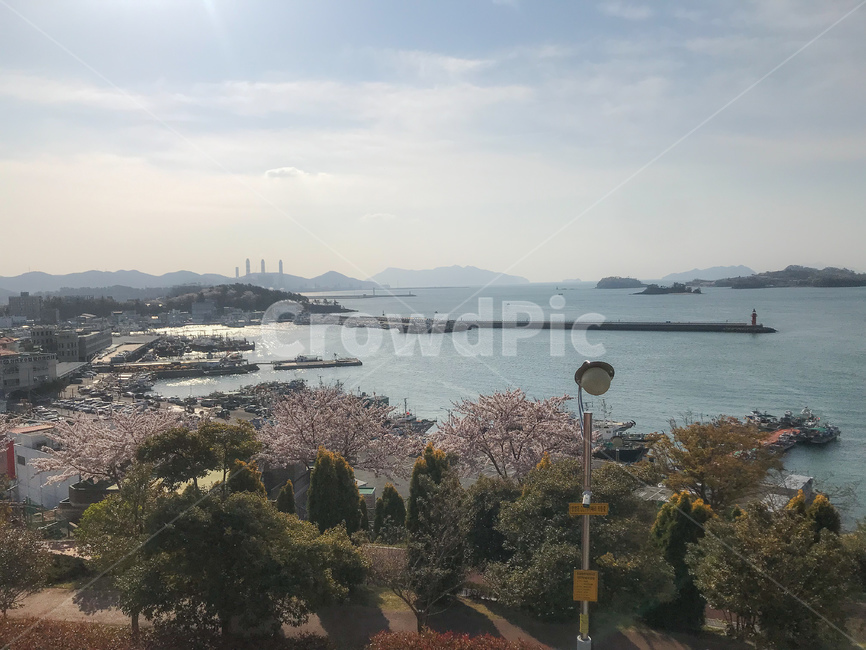 사천,전망대,바다,항구,맑은날,바닷가,벛꽃,자연,풍경,nature,landscape,scenery,outdoors,옥외,경치,land,땅