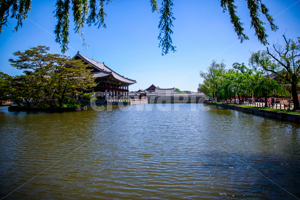 경복궁,경회루,소나무,나무,저수지,전통,전통건물,랜드마크,landmark,tourist attraction,한국랜드마크,한국관광지,한국명소,korea landmark,korea tourist attraction