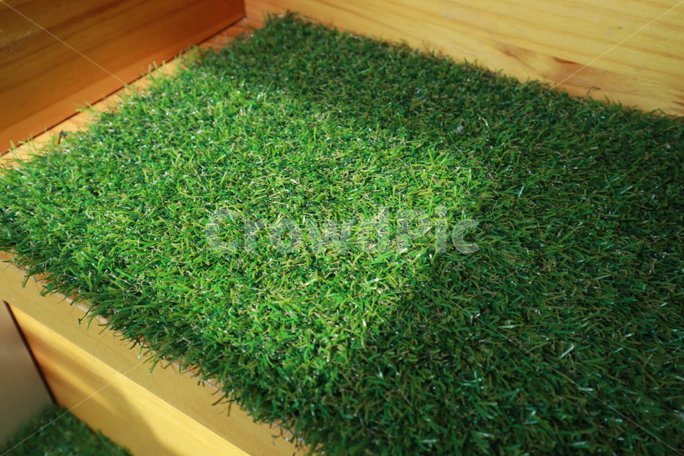 잔디,계단,햇살,햇빛,sunshine,grass