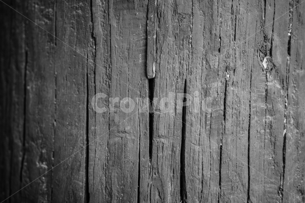 틈,나무기동,질감,거친질감,나무질감,기둥,나무,trees,wood,텍스처,질감,패턴,texture,pattern