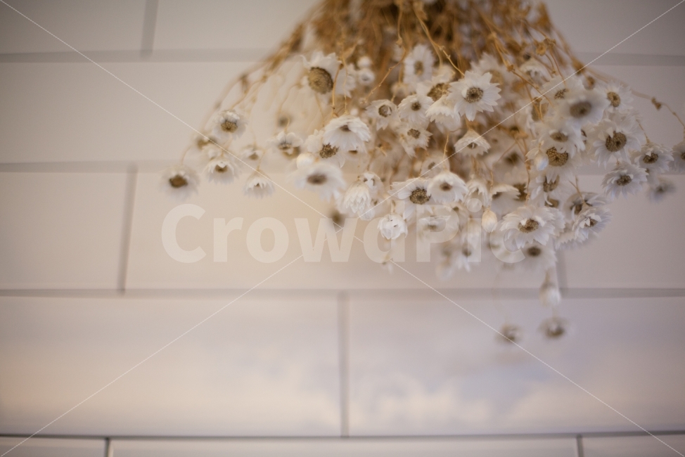 cafe,Emotion,inside,dried flower,interior,flower