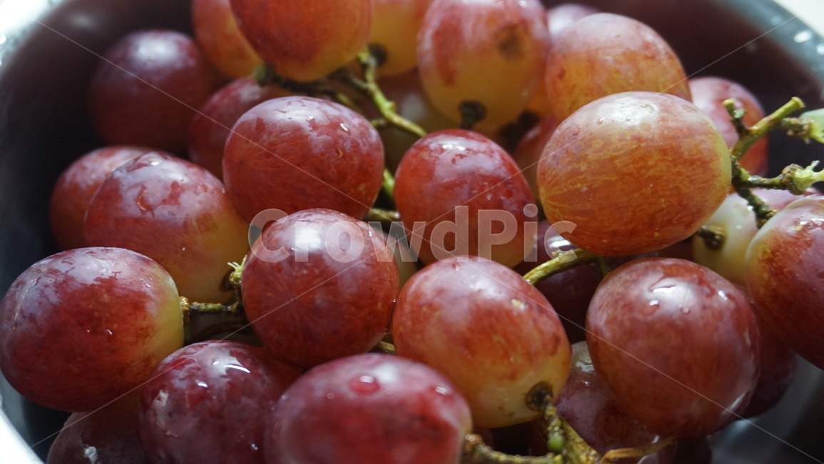 과일,과일식,자연식,채식,fruit,생식,포도,적포도,음식,식재료,요리,food,cook,meal,dishes,food reserves,과일,열매,fruit