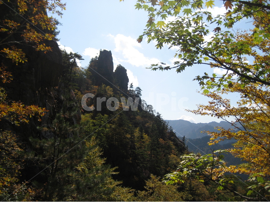 설악산,가을설악,오세암단풍,오세암계곡,가을설악계곡,가을,계절,fall,autumn,season,자연,풍경,nature,landscape,한국자연풍경,한국자연경관,korea nature landscape,tree,나무,plant,식물,outdoors,옥외