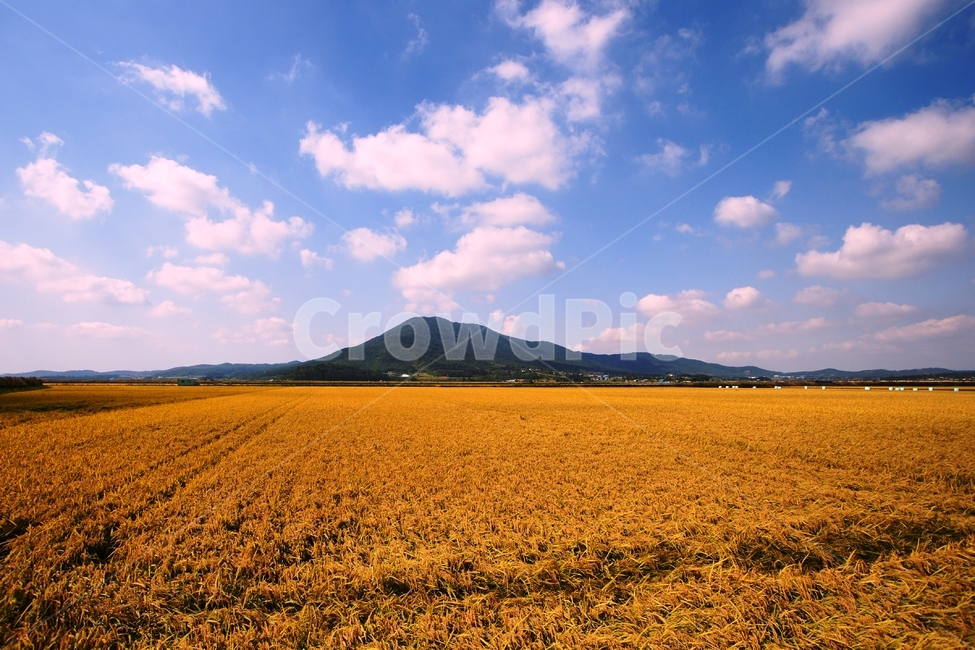 nature,자연,들판,농업,하늘,구름,농업,농사,agriculture,farming,farming industry