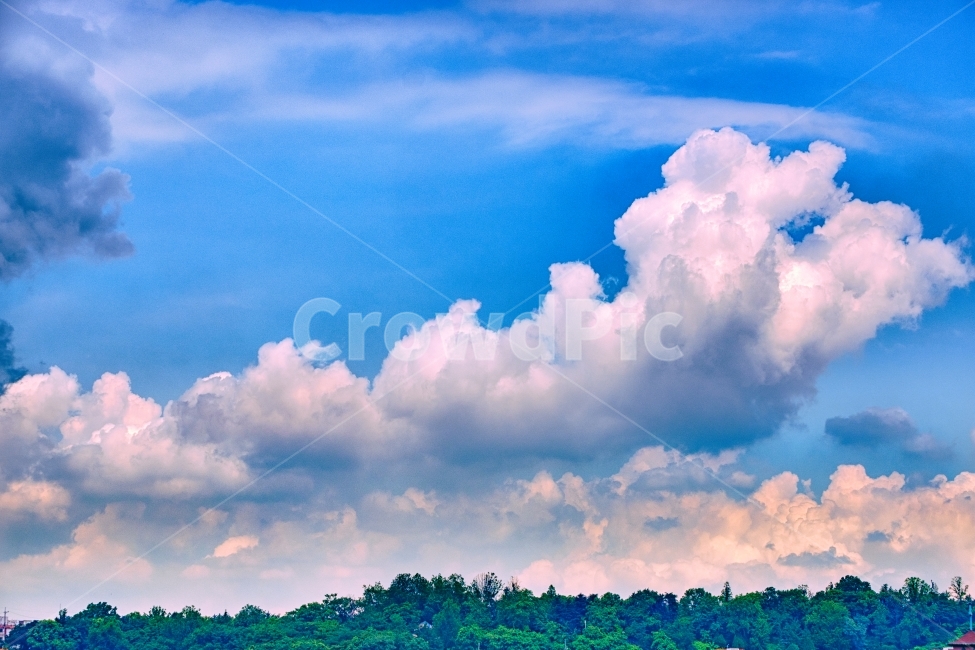 하늘,구름,파랑,나무,뭉게구름,하양,숲,자연,풍경,nature,landscape,weather,날씨,outdoors,옥외,cloud,cumulus,적운,sky