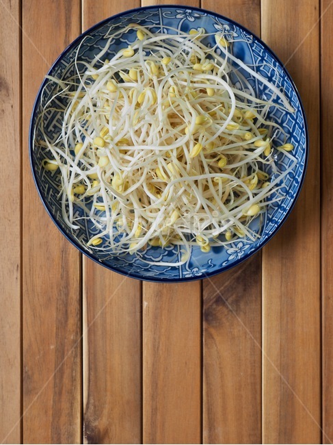 콩나물,나물,음식,음식재료,채소,웰빙,배경,콩,신선한,beansprouts,herbs,food,foodingredients,vegetable,wellbeing,background,bean,fresh,음식,식재료,요리,food,cook,meal,dishes,food reserves