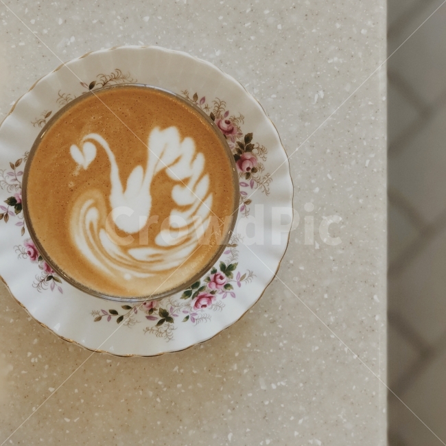 백조,스완,커피,카페,플랫,커피,카페,coffee,cafe,감성,sensible,feeling