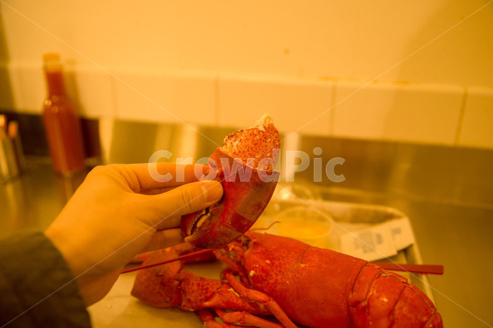 cooked,cuisine,delicious,dinner,fish,food,fresh,healthy,lobster,lobsterisolated,meal,plate,raw,red,restaurant,seafood,shellfish,음식,요리,해물,랍스터,해양생물,해산물