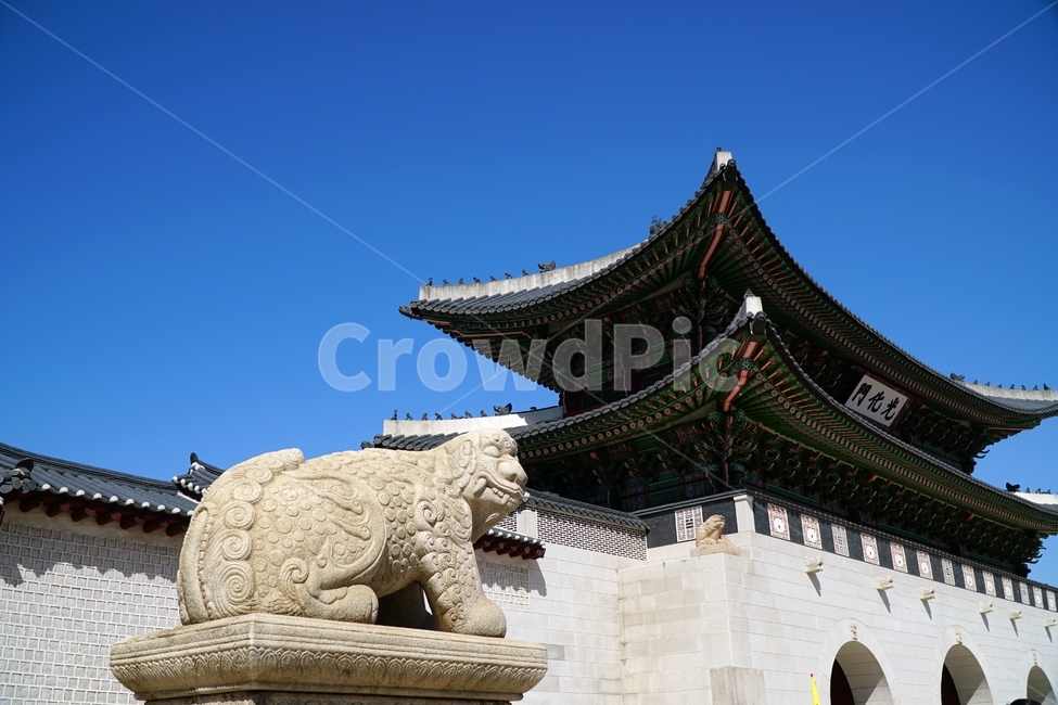 경복궁,광화문,해태,고궁,궁궐,궁전,왕실,조선,korea,seoul,한국,서울,종로,한옥,성,castle,haetae,gyeongbokgung,palace,gwanghwamun,gate,한국전통,한국문화,전통문화,kingdom,조선왕조,문화재,역사,culturalassets,culturalproperties,파란하늘,푸른하늘,bluesky,한국풍경,한국자연,서울풍경,서울자연