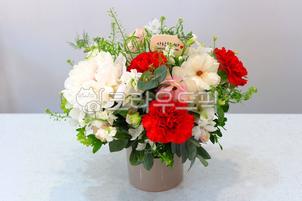 flower gift,family month,floraldesign,carnation flower,floral design,carnation,Mothers Day