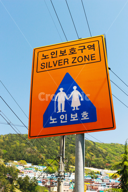 노인보호구역,안내판,표지판,조형물,전깃줄