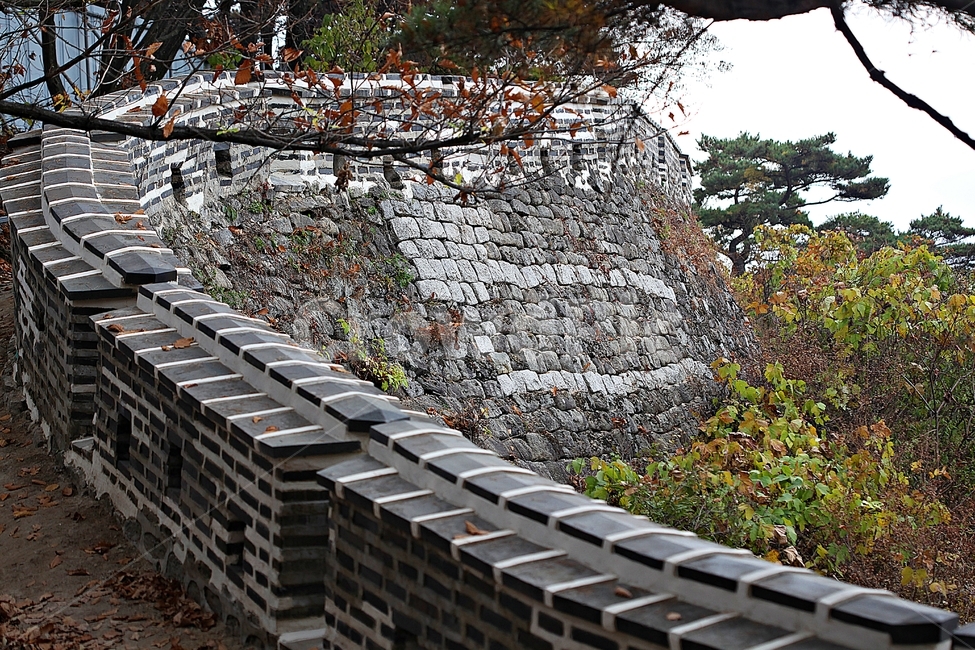 남한산성,성,성곽,단풍,낙엽,길,둘레길,숲,숲길,담,돌담,가을,자연,풍경,벽,울긋불긋,산성,식물,가을,계절,fall,autumn,season